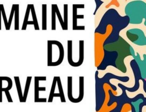 Les neurosciences à l&rsquo;honneur